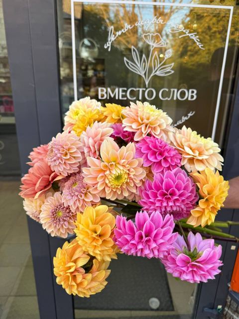 Георгины микс